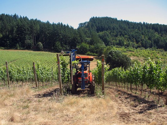 All Crawford Beck Vineyard tractors are run on biodiesel fuel.